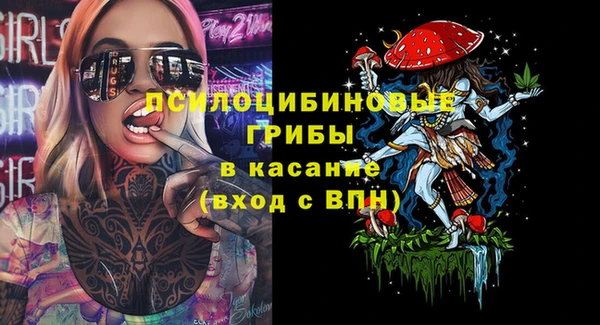 индика Алзамай