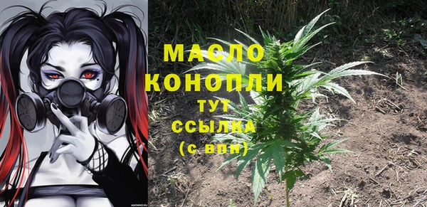 винт Мегион