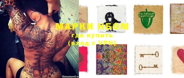индика Алзамай