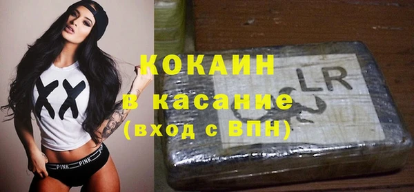 сатива Абинск